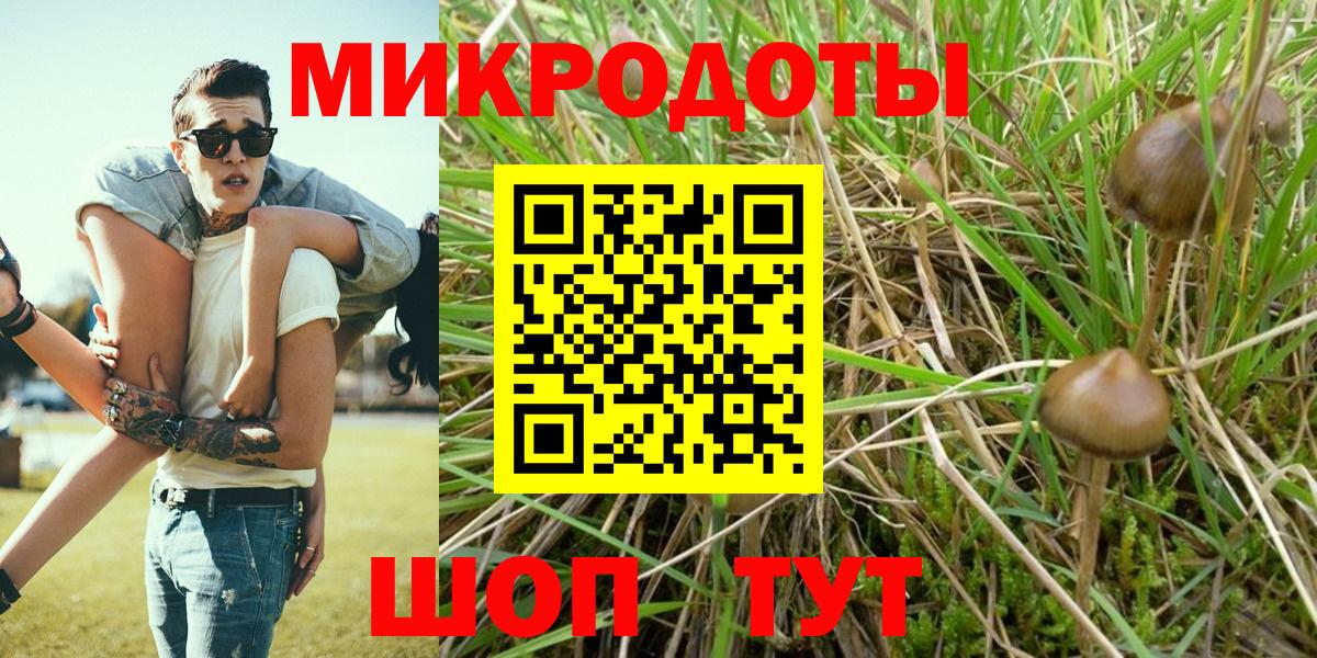 Галлюциногенные грибы GOLDEN TEACHER Похвистнево